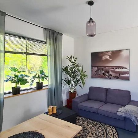 Studio Tussen De Bossen En De Bollenvelden Noordwijkerhout Exteriér fotografie