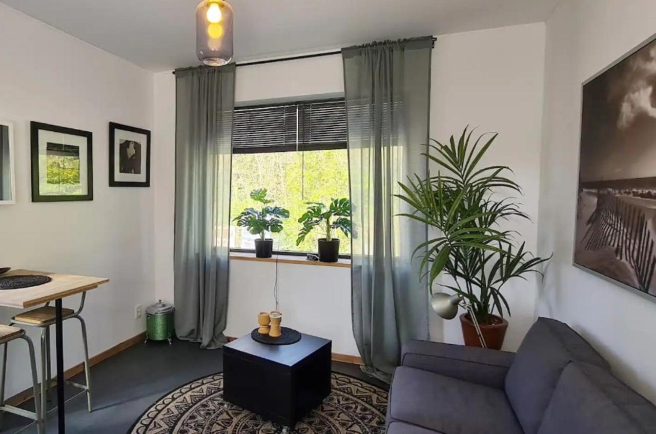 Studio Tussen De Bossen En De Bollenvelden Noordwijkerhout Exteriér fotografie